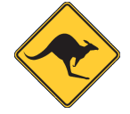 Darling Downs Skippycoin ICG Darling Downs Skippycoin ICG