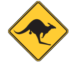 Darling Downs Skippycoin ICG Darling Downs Skippycoin ICG